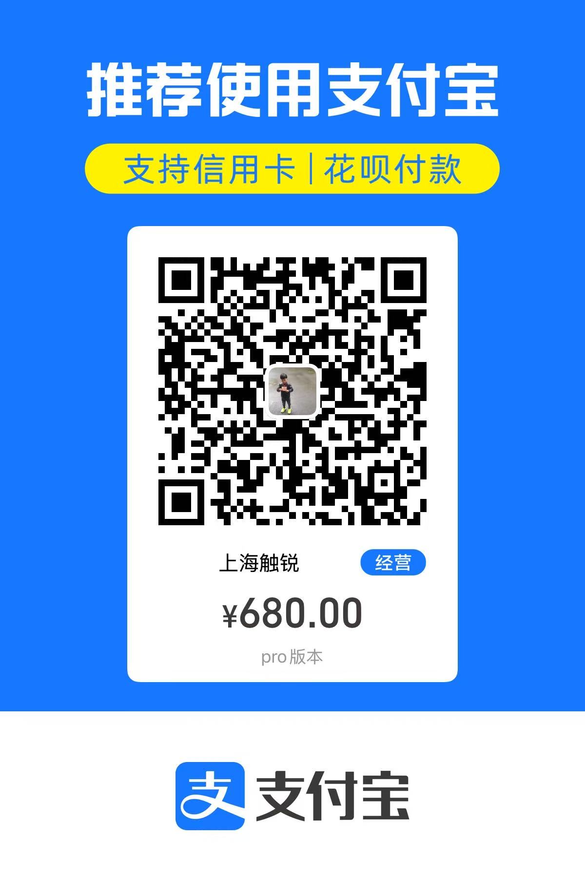 Codex Pro 支付二维码